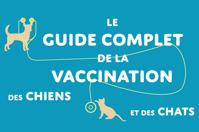 Calendrier de vaccination chien et chat 2026 : guide complet
